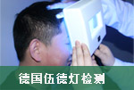 豸