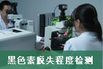 豸