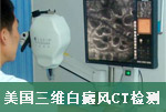 豸
