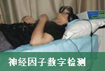 豸