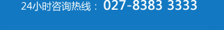 ѯߣ027-8383 3333